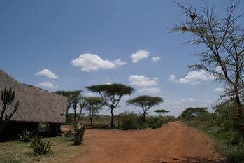 Robanda Tented Camp Dış mekan fotoğraf