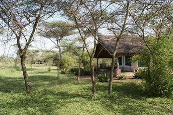 Robanda Tented Camp Dış mekan fotoğraf
